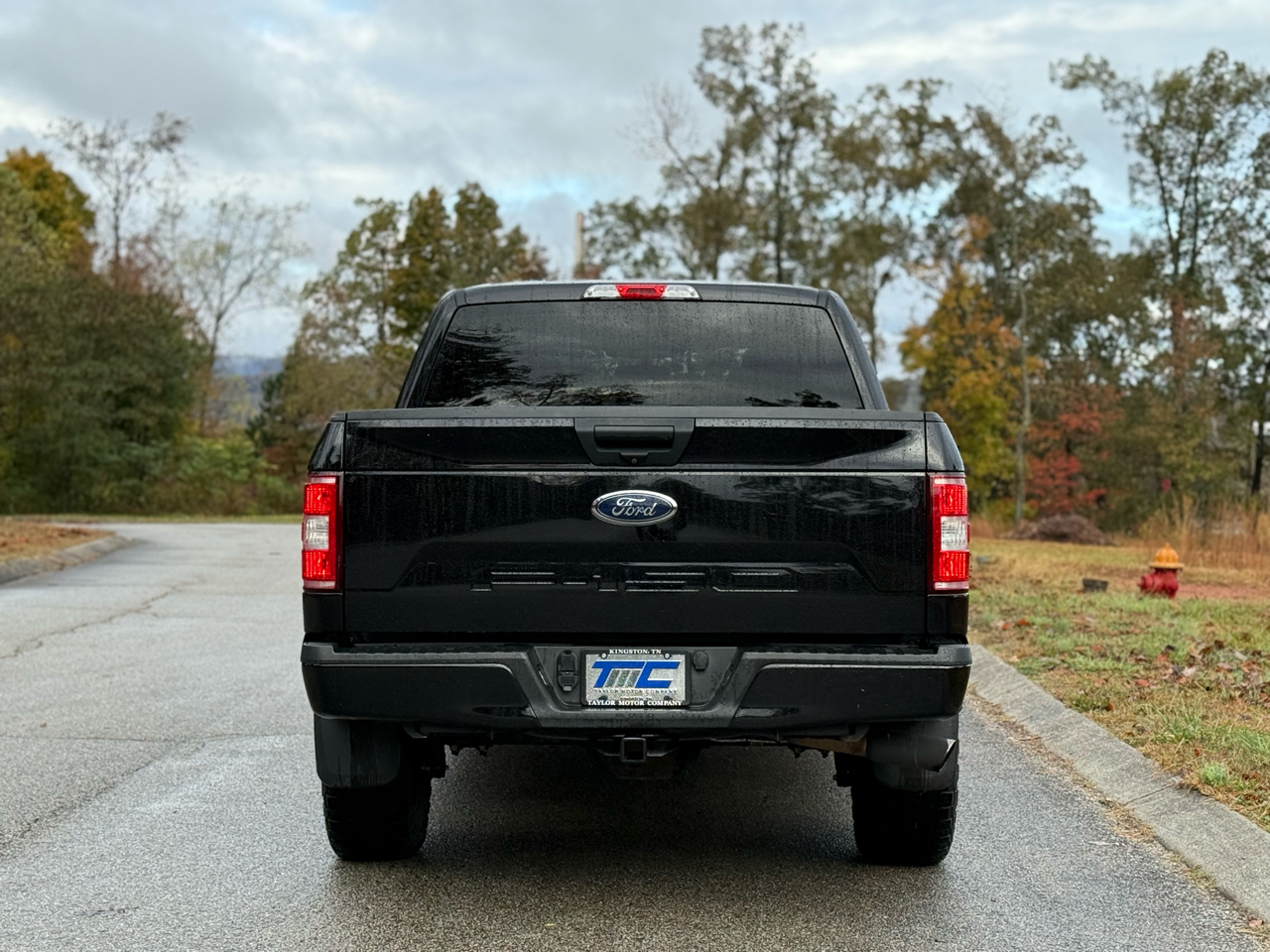 Ford F-150 4WD SuperCrew 145" STX 2019