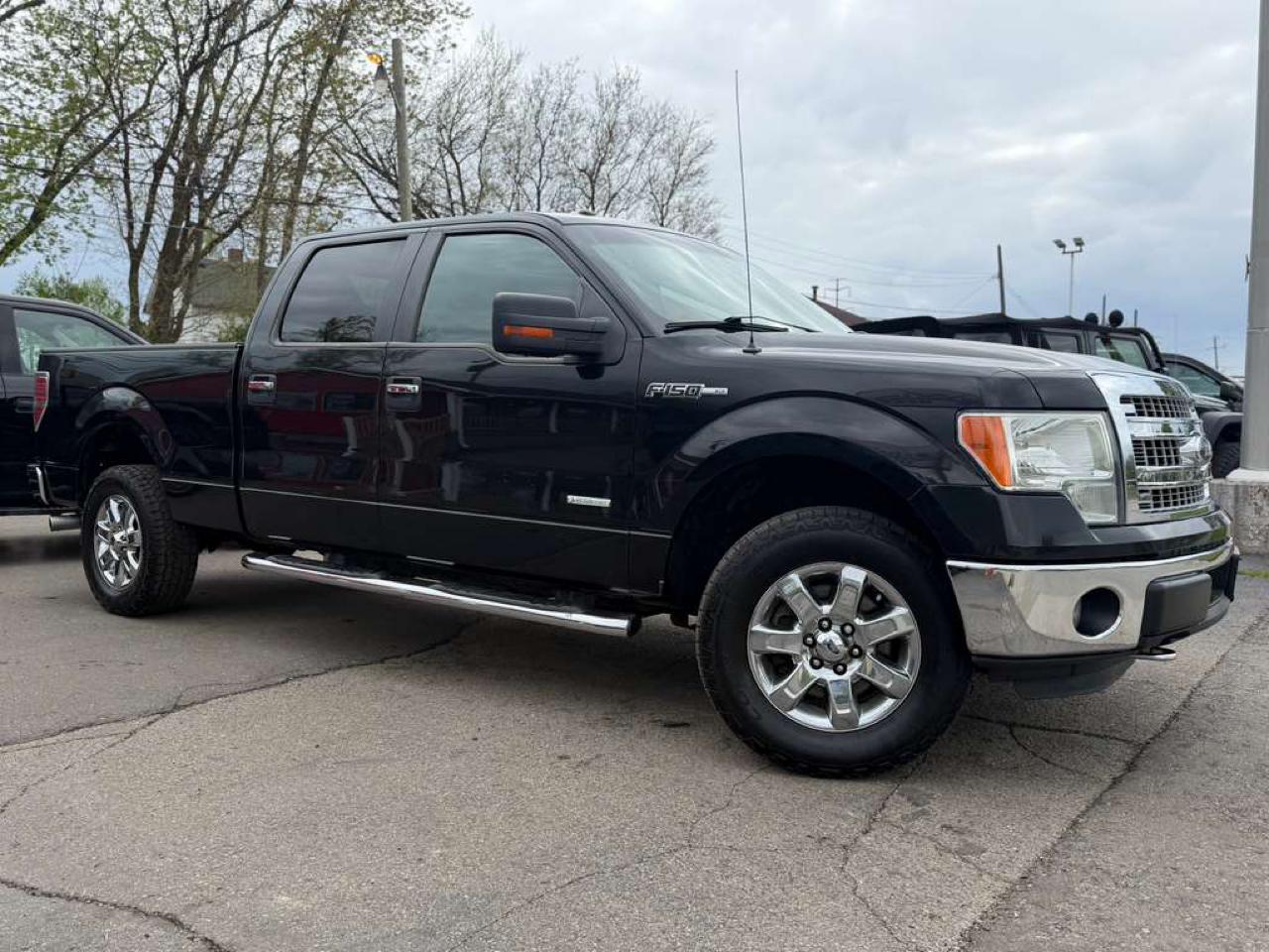 Ford F-150 XLT 4WD SuperCrew 5.5' Box 2014