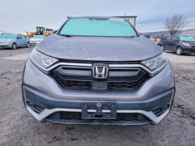 Honda CR-V  2020