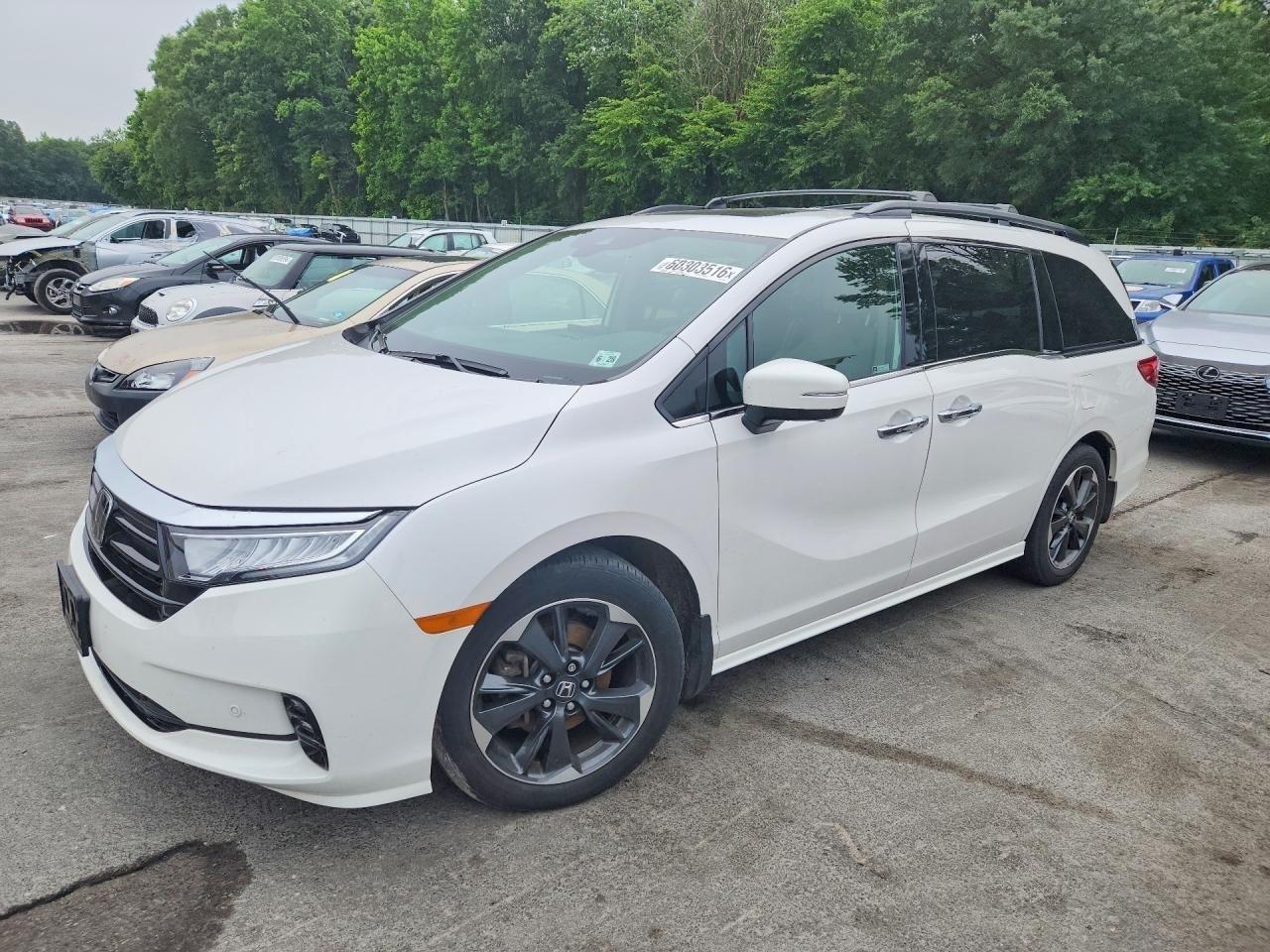 2023 Honda Odyssey Elite