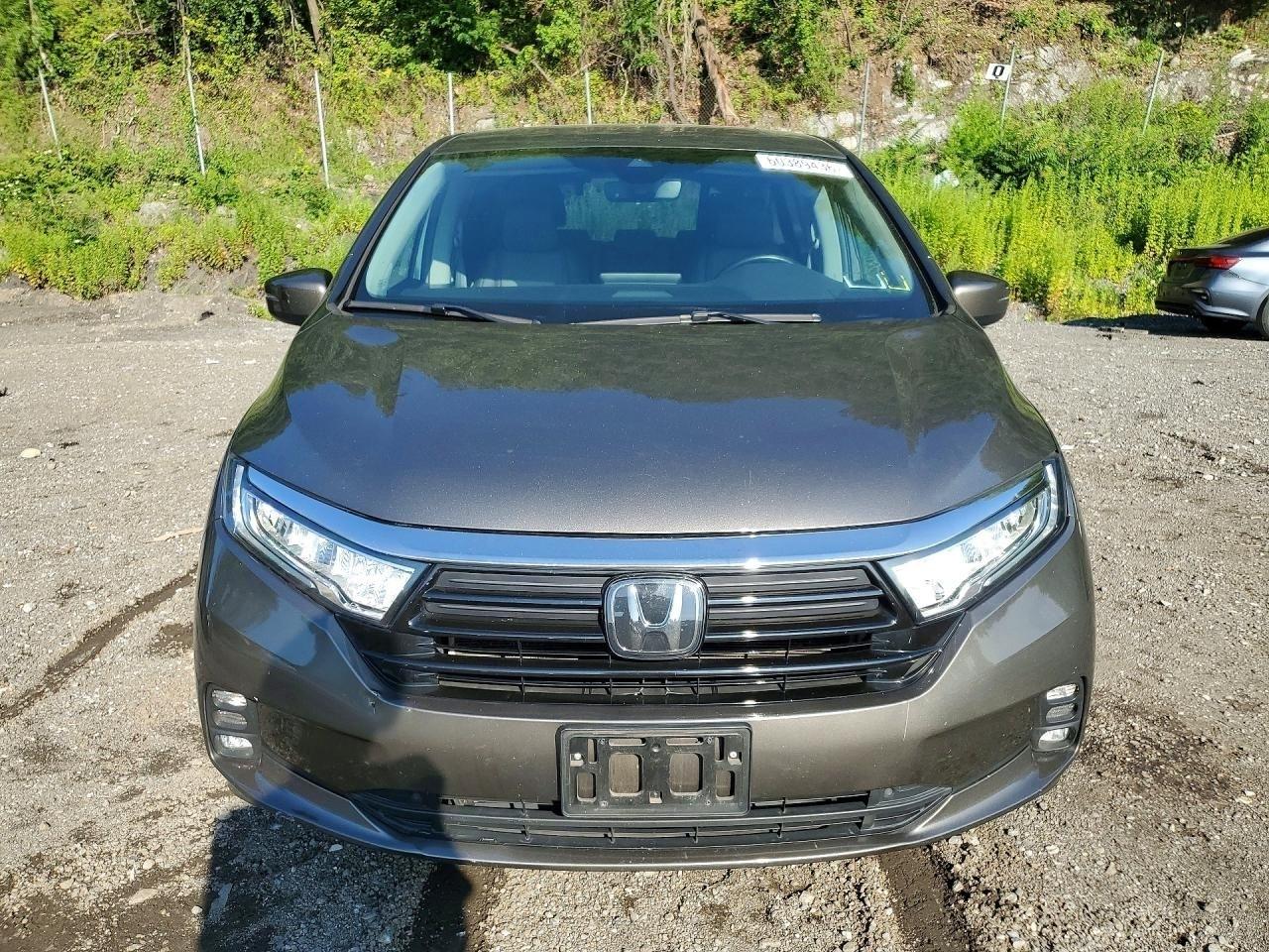 Honda Odyssey EX-L 2022