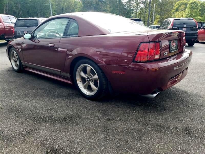 2004 Ford Mustang GT Deluxe photo 8