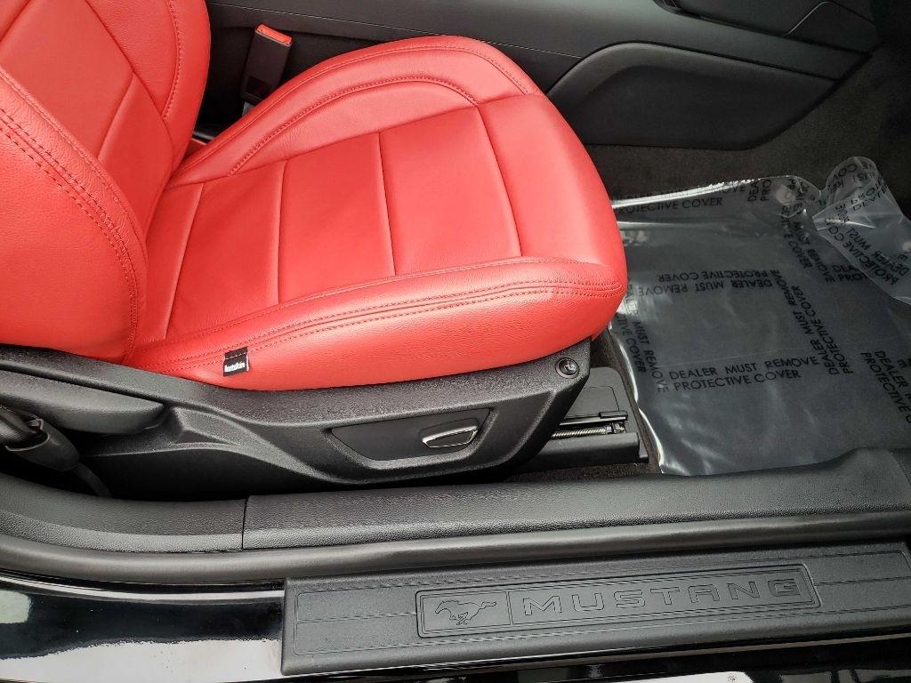 Ford Mustang GT Coupe 2019