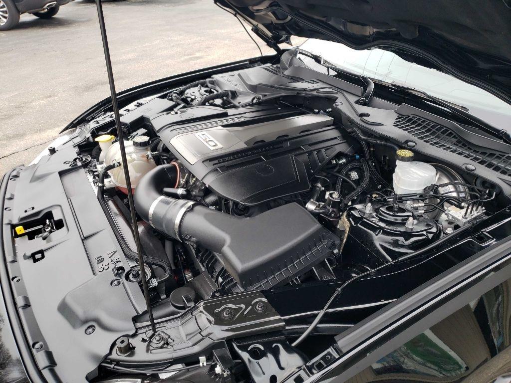 Ford Mustang GT Coupe 2019