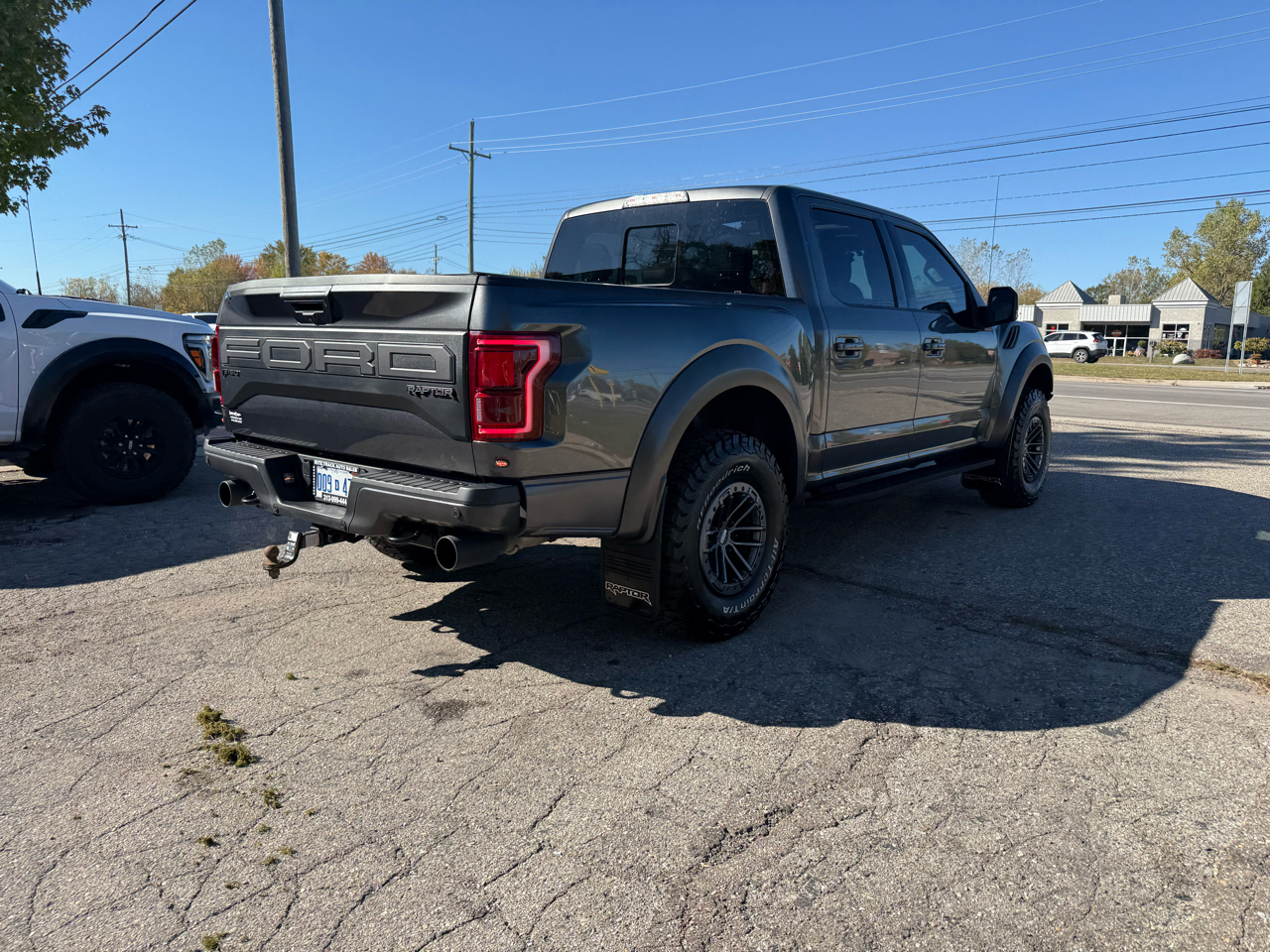 Ford F-150 Raptor SuperCrew 4WD 2020 Ford F-150 Raptor SuperCrew 4WD 2020