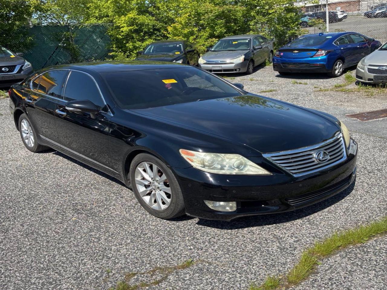 Lexus LS 460  2010