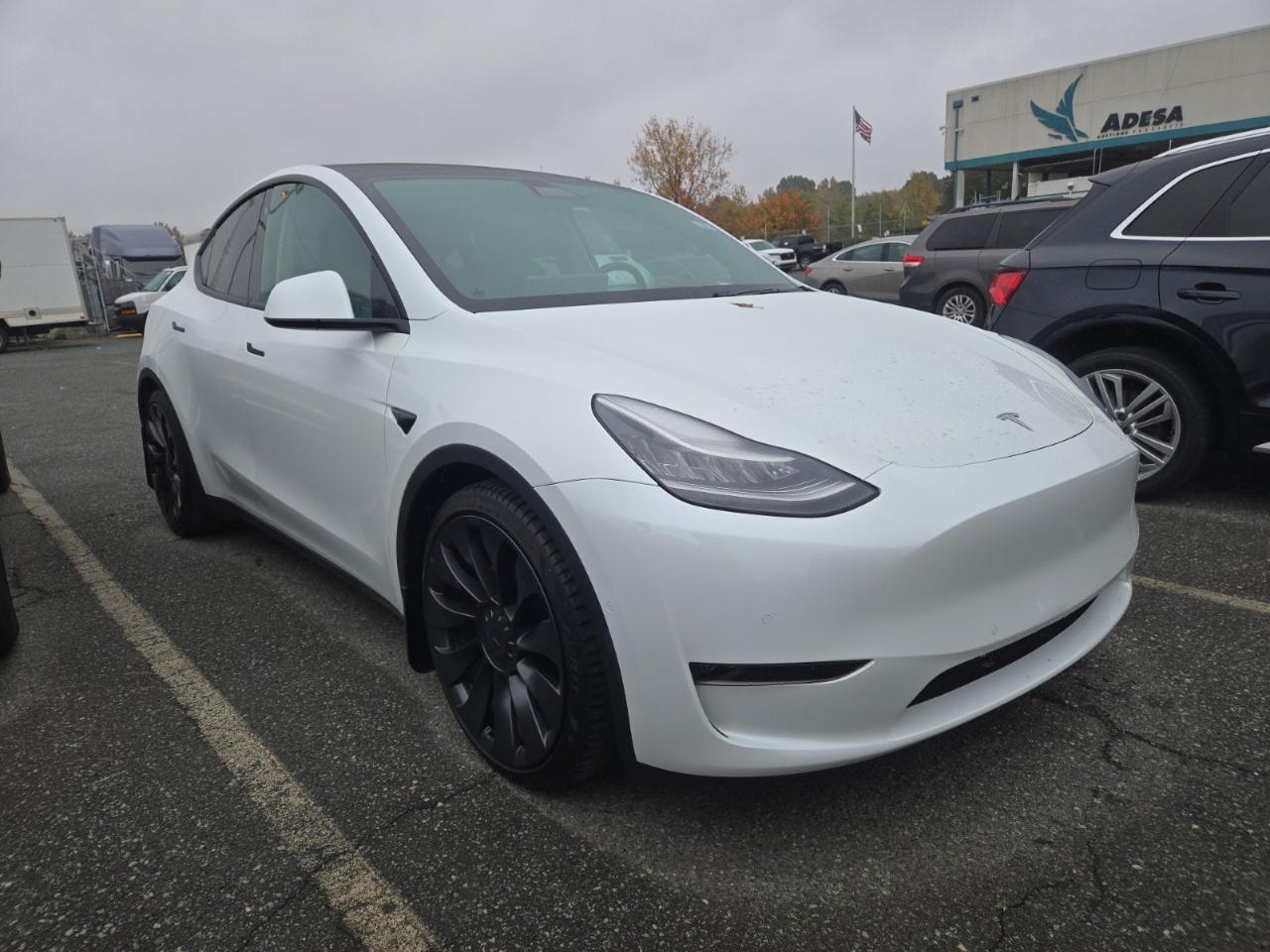 2020 Tesla Model Y Performance's photo