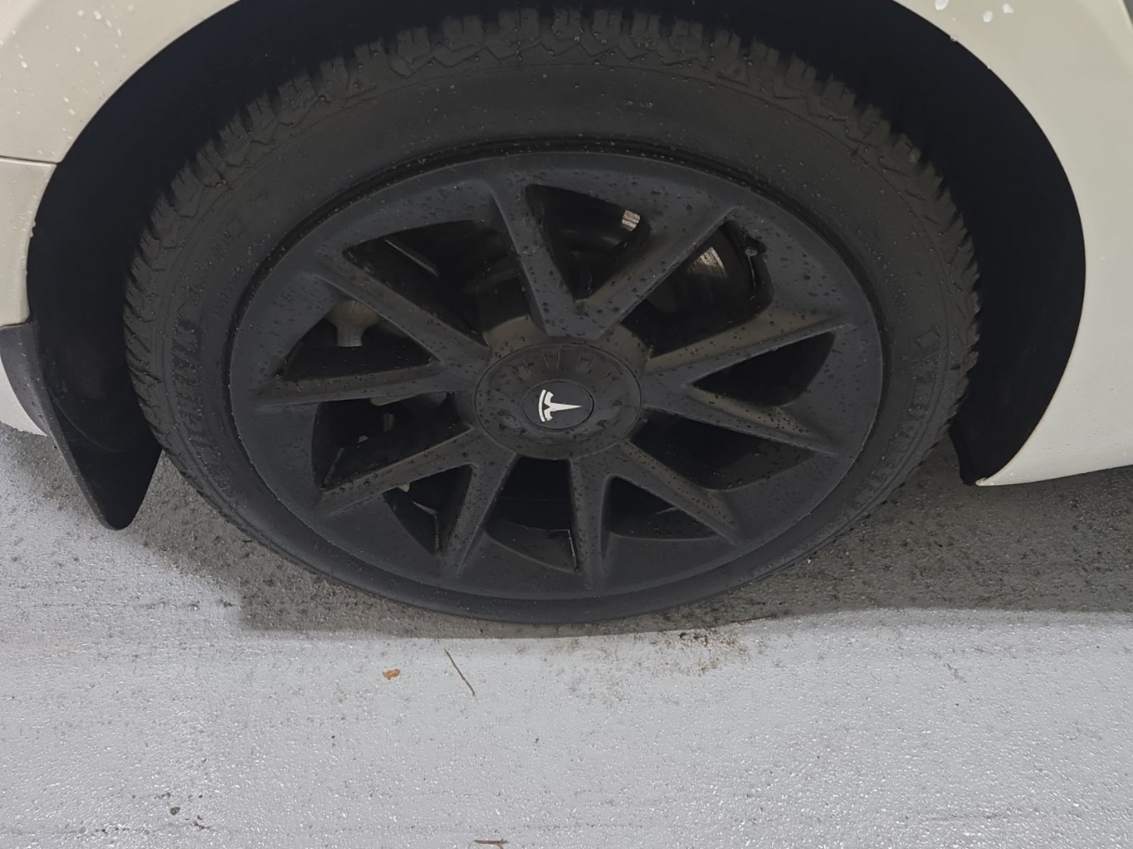 Tesla Model 3 Standard Range Plus 2021