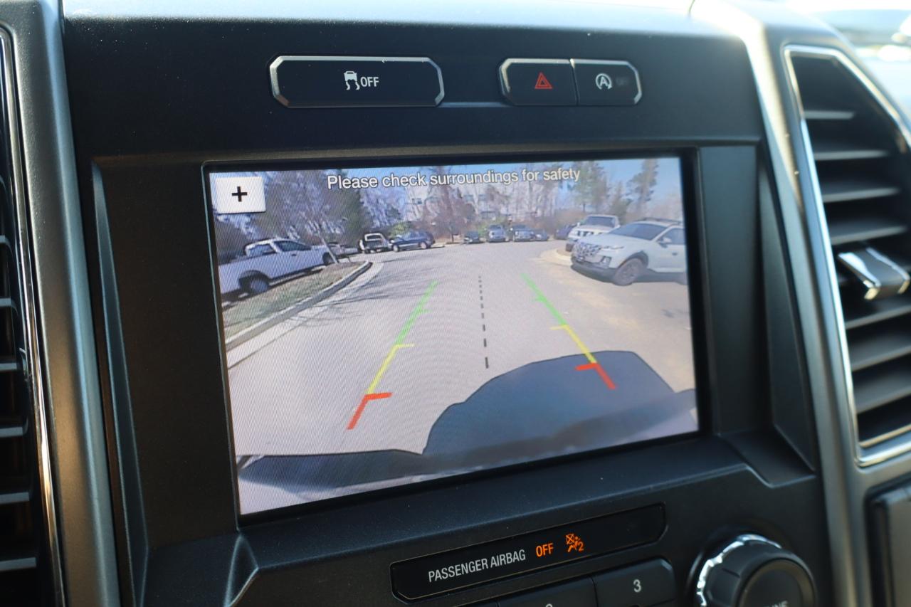 Ford F-150 XLT SuperCrew 5.5-ft. Bed 4WD 2019