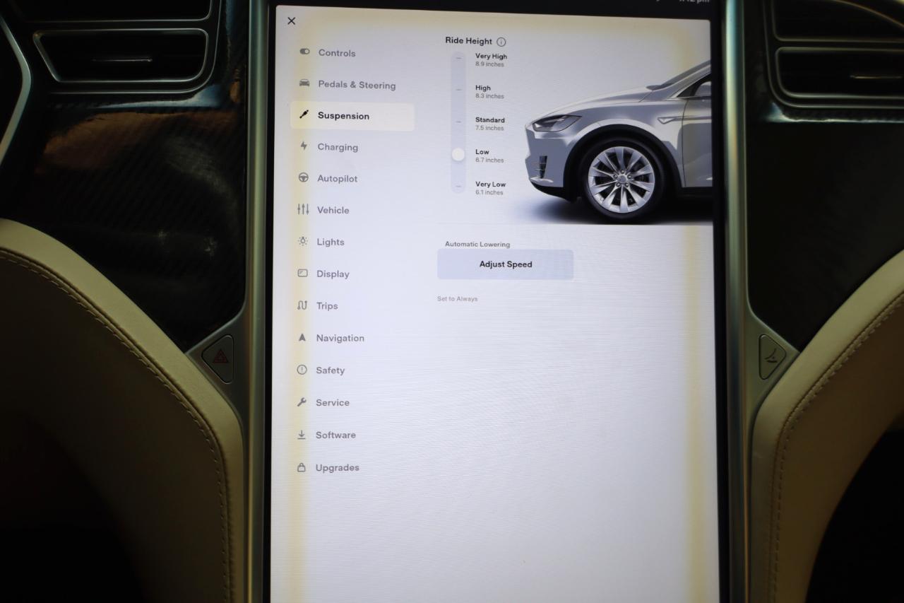 Tesla Model X 100D AWD 2017