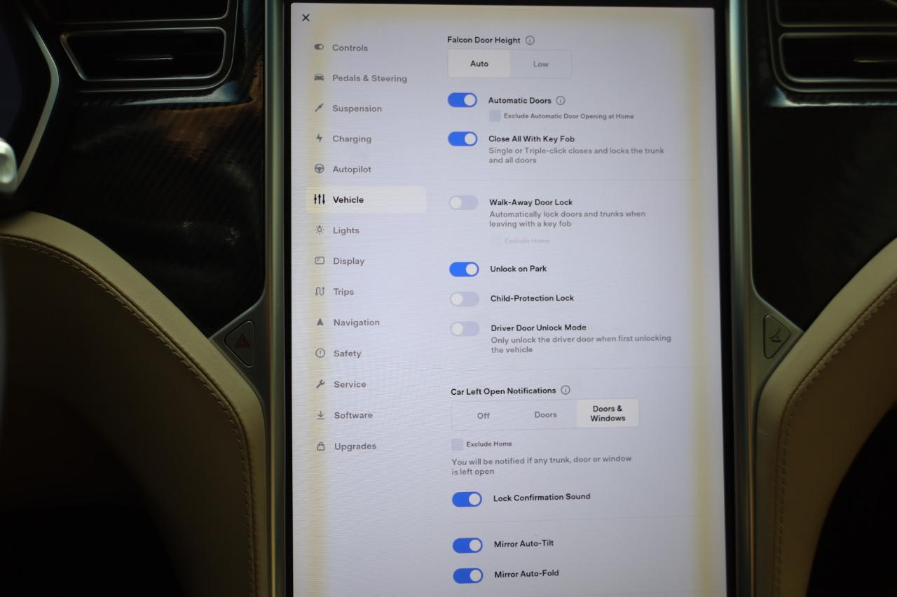 Tesla Model X 100D AWD 2017