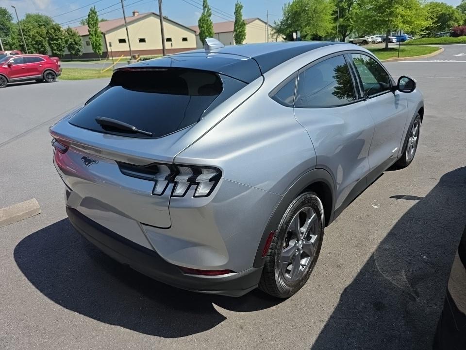 2021 Ford Mustang-Mach-e's photo