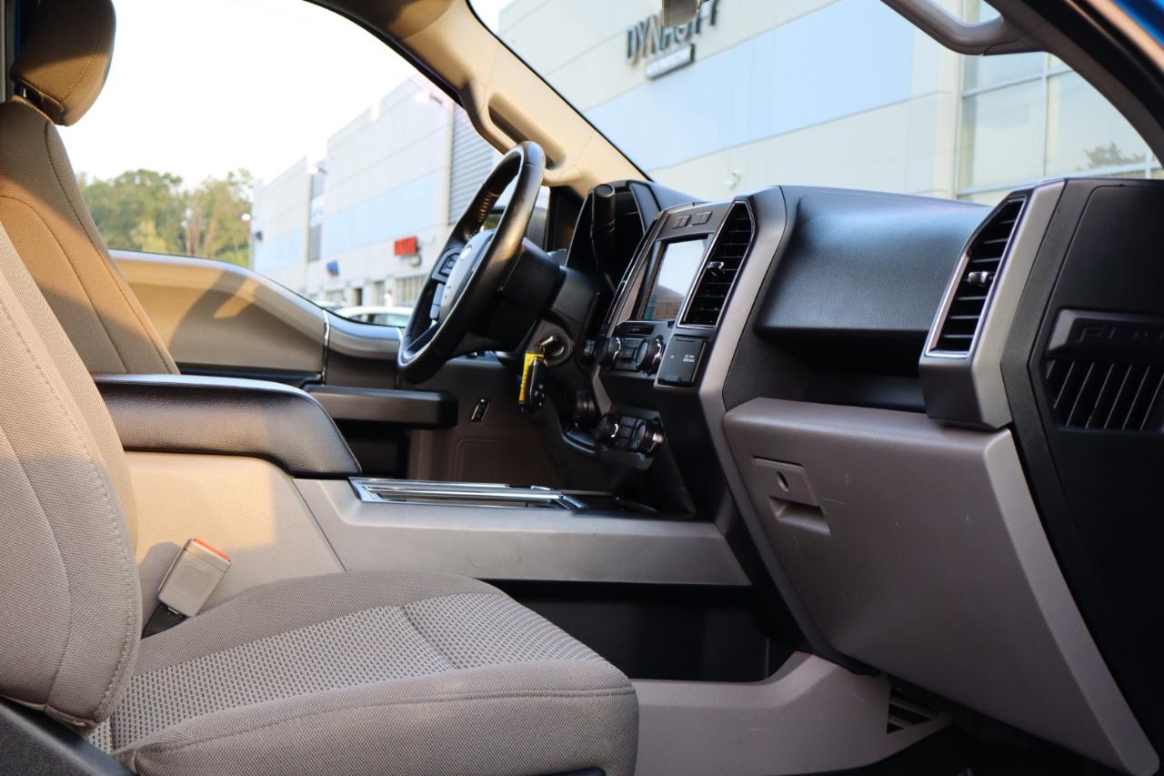 Ford F-150 XLT SuperCrew 6.5-ft. Bed 4WD 2019