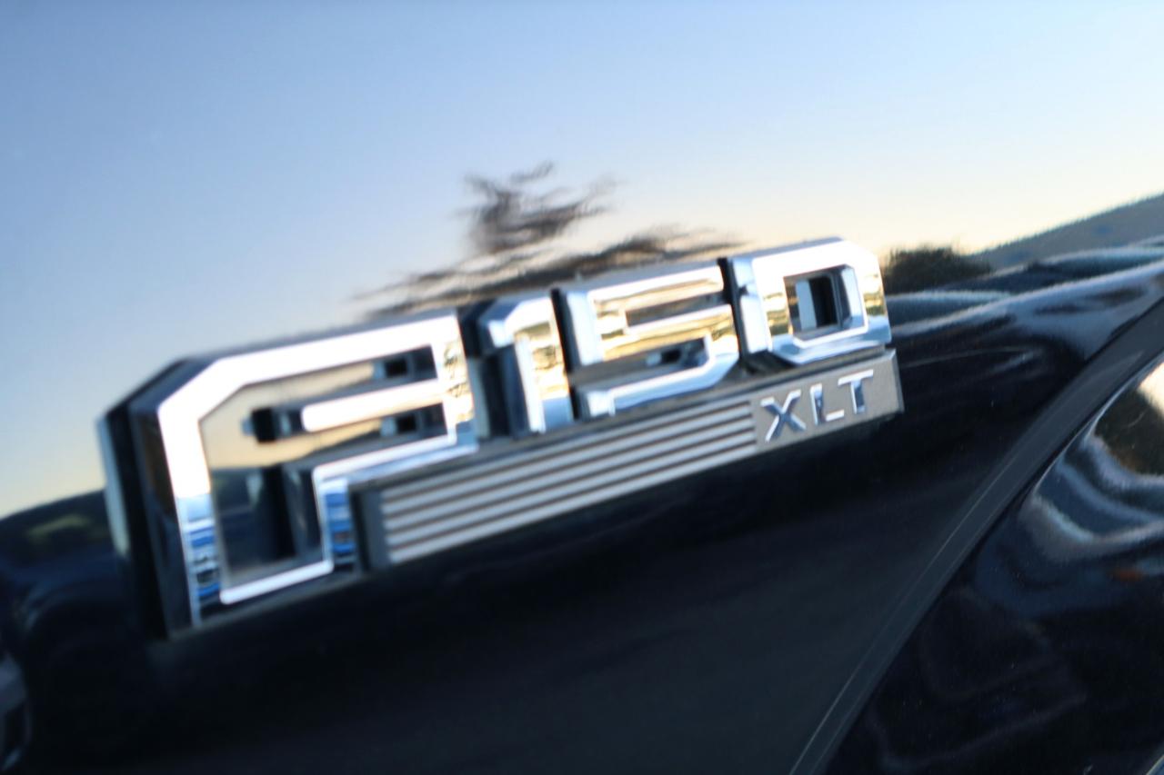 Ford F-150 XLT SuperCrew 6.5-ft. Bed 4WD 2020