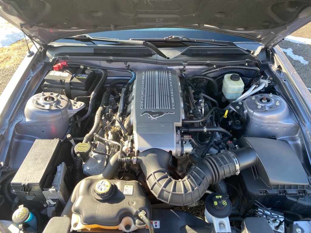 Ford Mustang GT Deluxe Coupe 2006