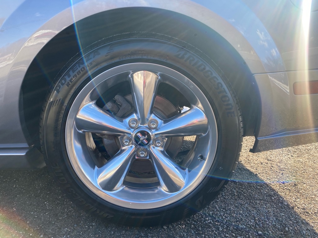 Ford Mustang GT Deluxe Coupe 2006