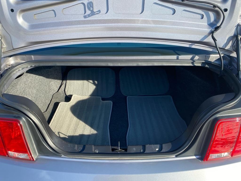 Ford Mustang GT Deluxe Coupe 2006