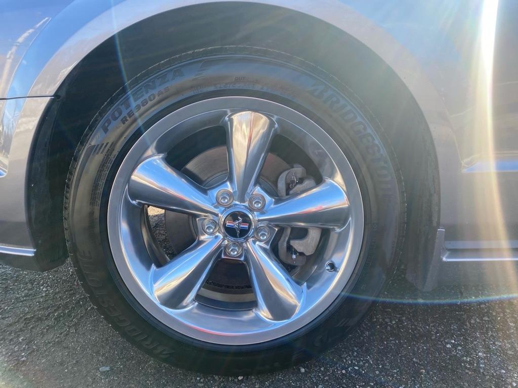 Ford Mustang GT Deluxe Coupe 2006