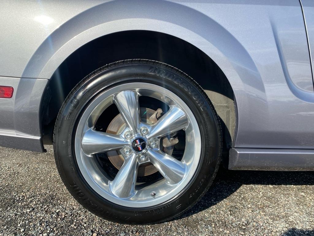 Ford Mustang GT Deluxe Coupe 2006