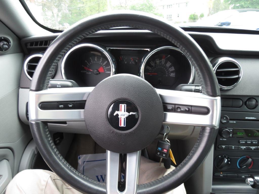 Ford Mustang GT Deluxe Coupe 2006