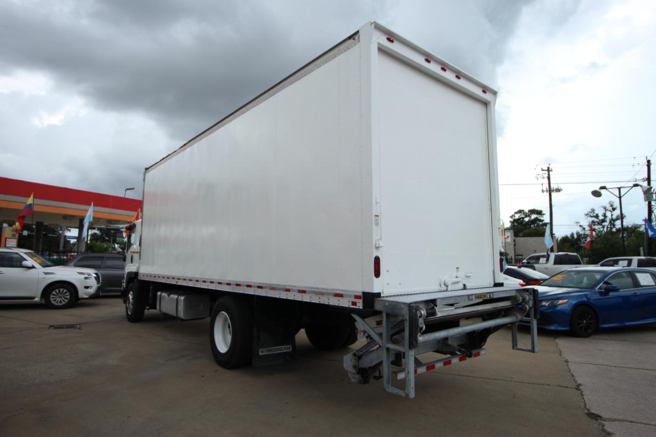 Isuzu FTR  2019
