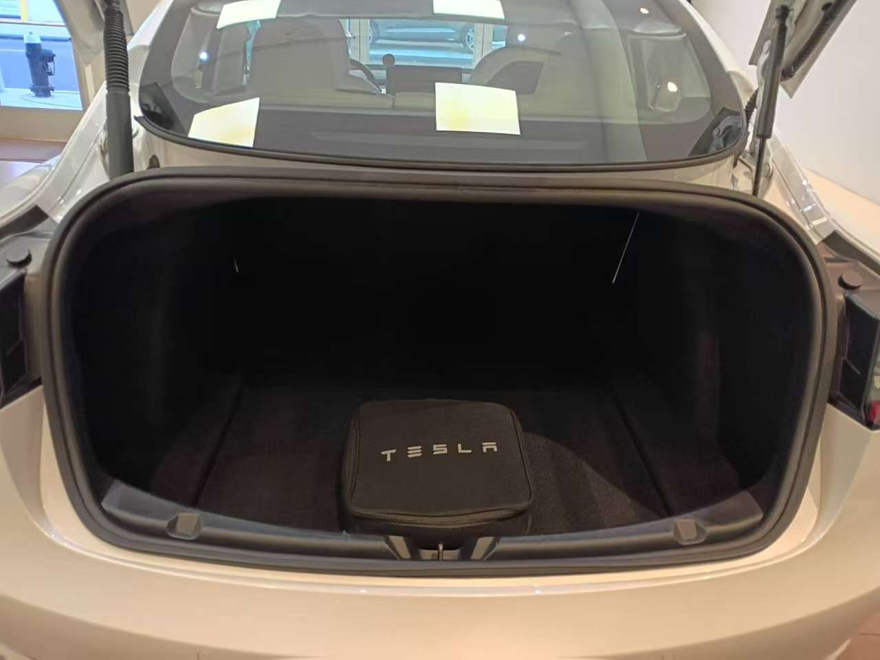 Tesla Model 3 Standard Range Plus 2021 Tesla Model 3 Standard Range Plus 2021