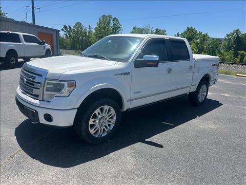 2013 Ford F-150 PLATINUM