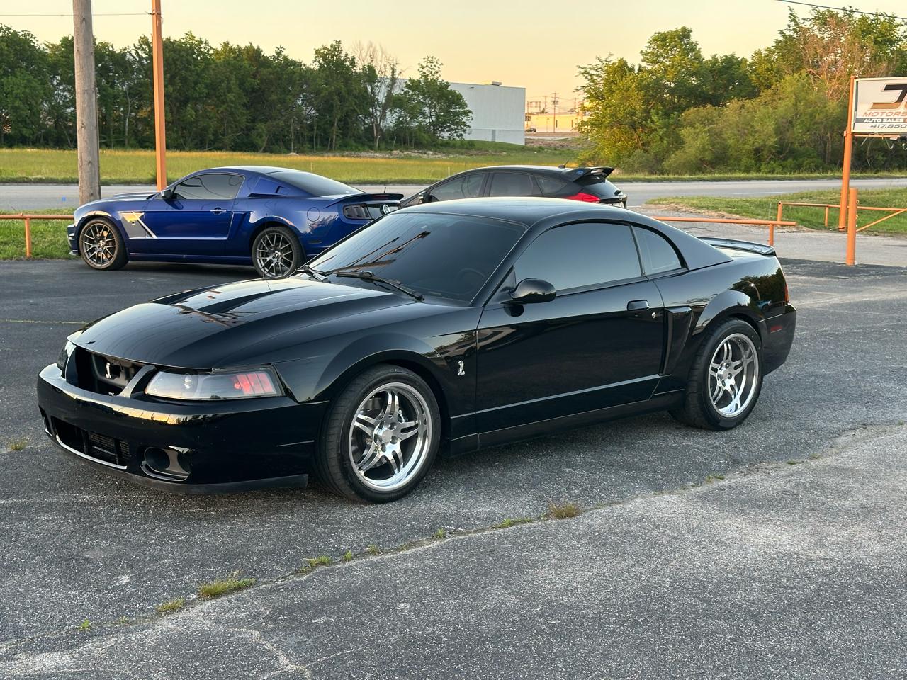 2003 Ford Mustang Cobra SVT's photo