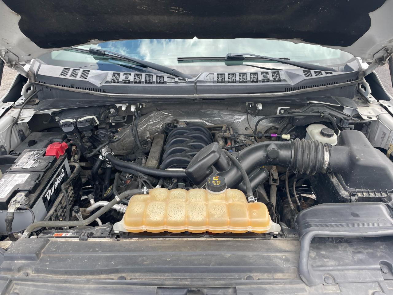 Ford F-150 XLT SuperCrew 6.5-ft. Bed 4WD 2017