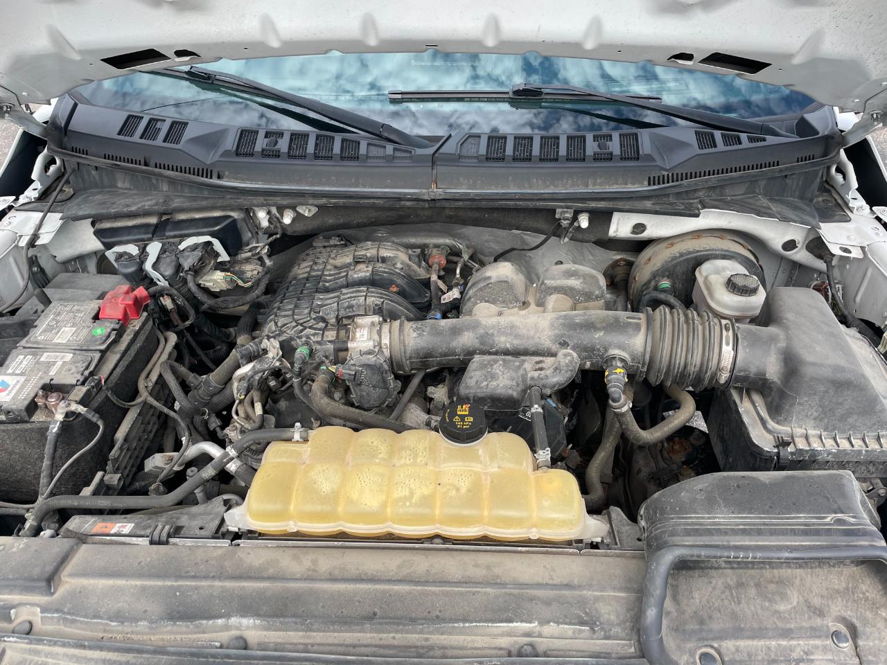 Ford F-150 XL 8-ft. Bed 2WD 2020