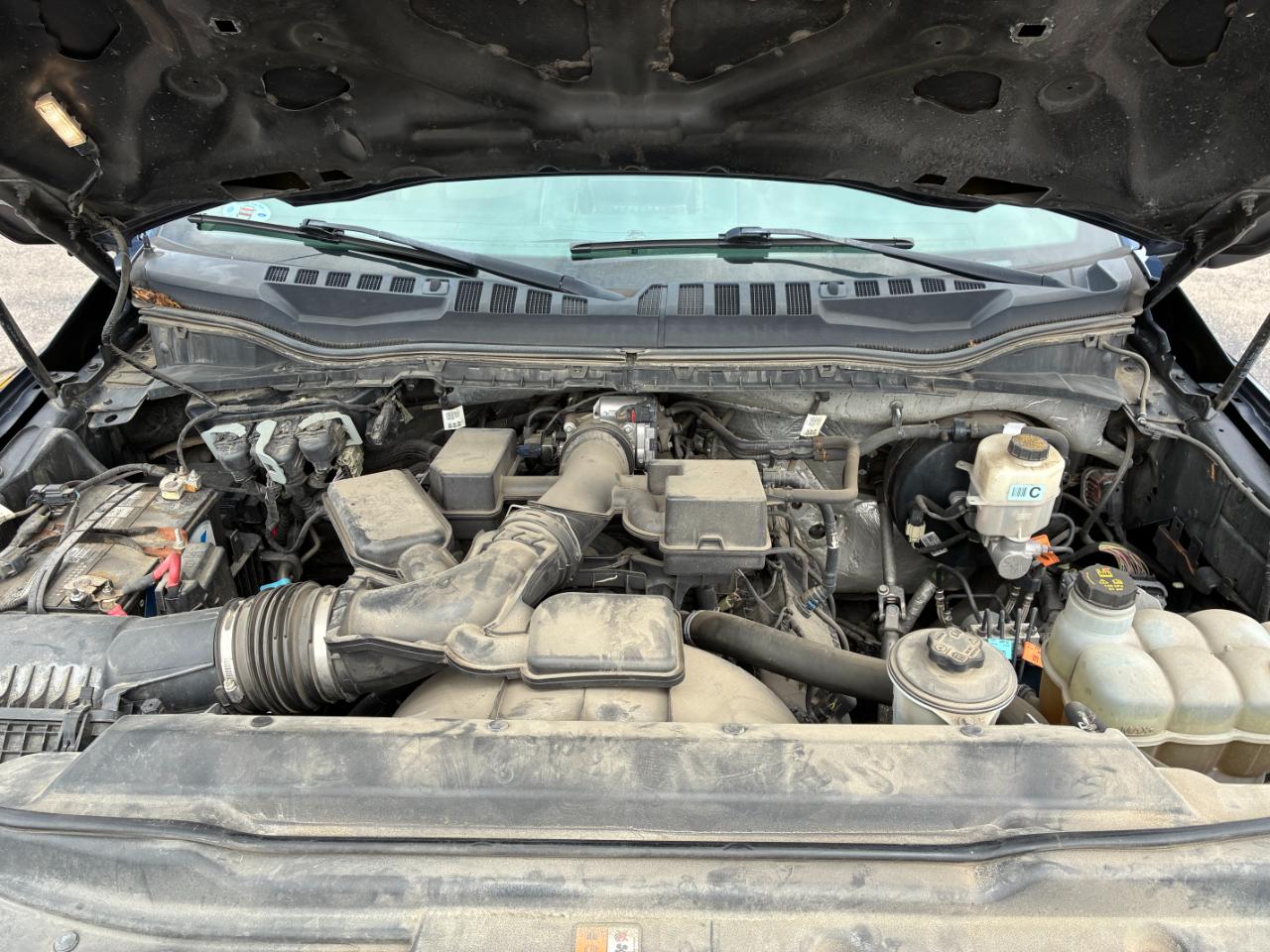 Ford F-250 SD XL Crew Cab Long Bed 2WD 2020