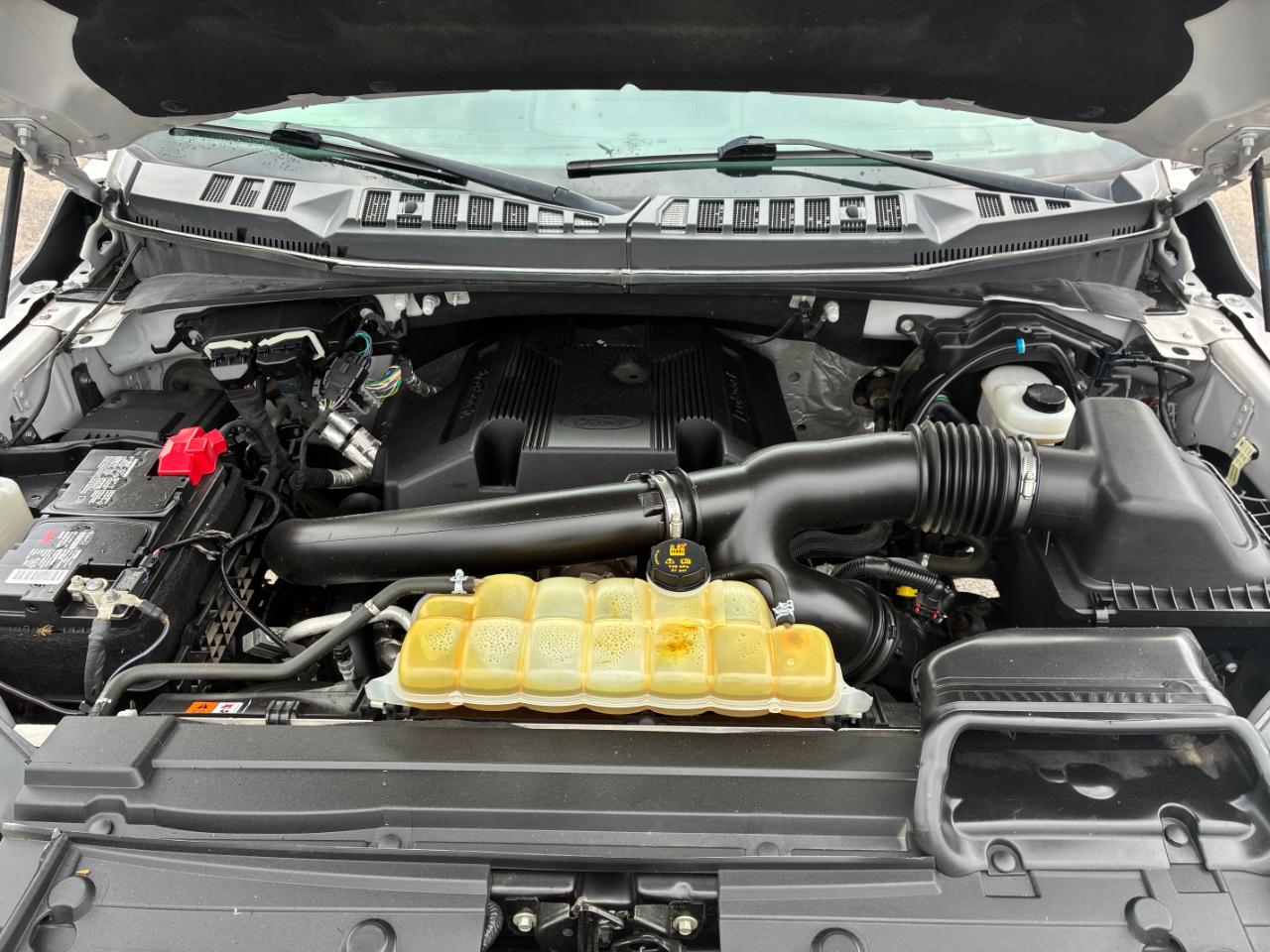 Ford F-150 XLT SuperCrew 5.5-ft. Bed 4WD 2019