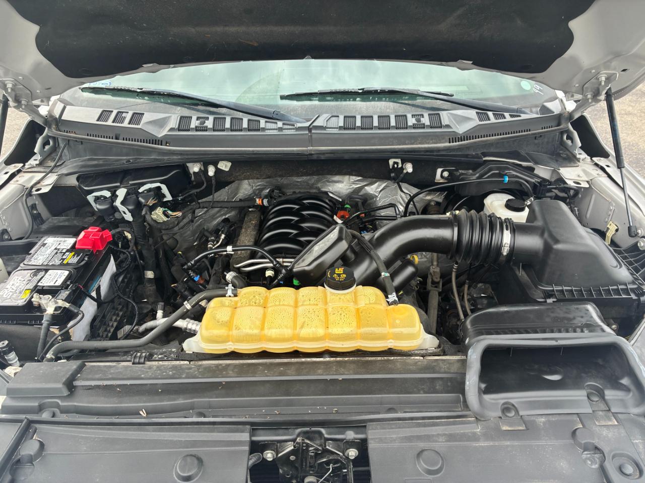 Ford F-150 XLT SuperCrew 6.5-ft. Bed 4WD 2019