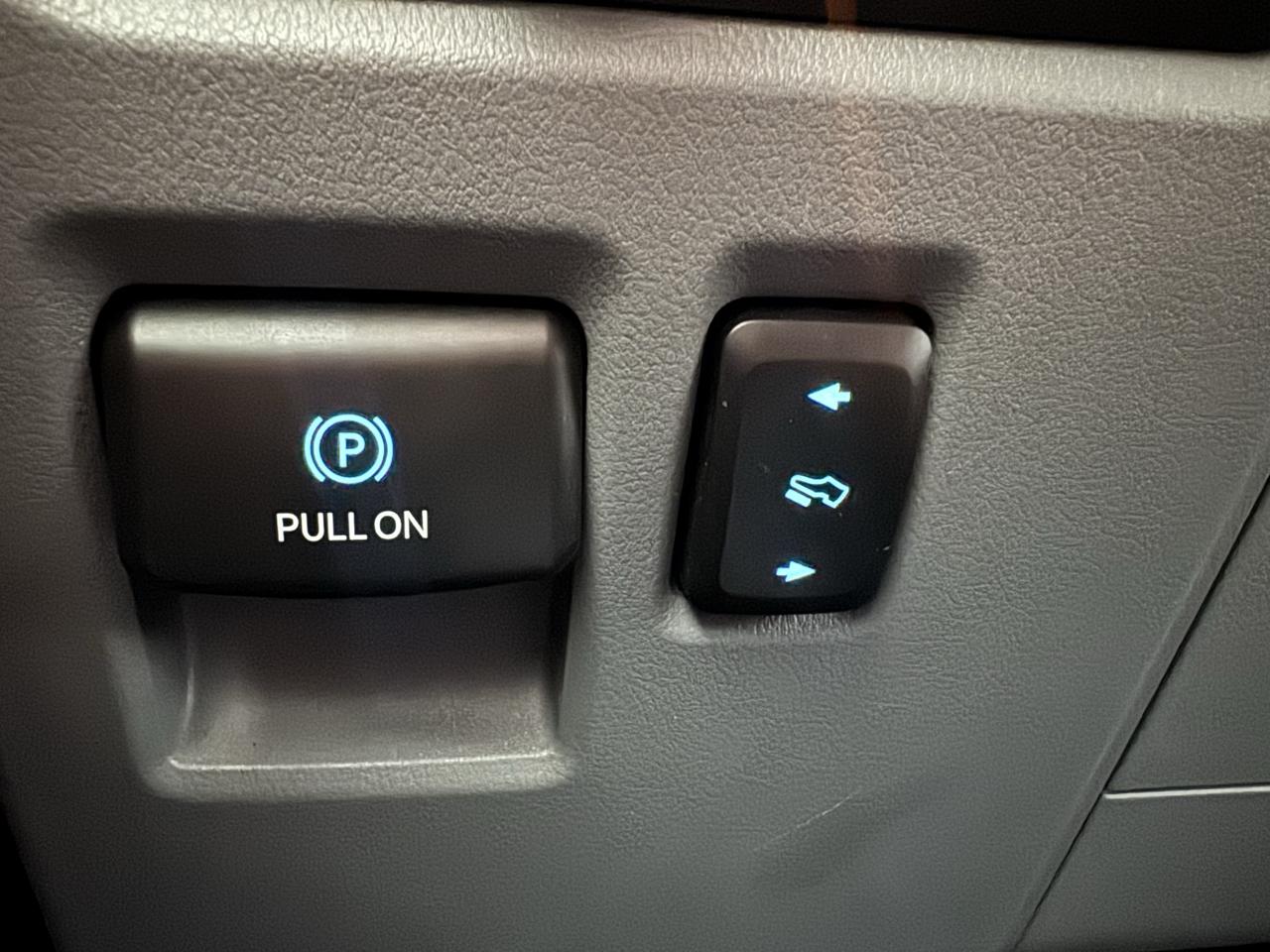 Ford F-150 Reg Cab 120" XLT 2021
