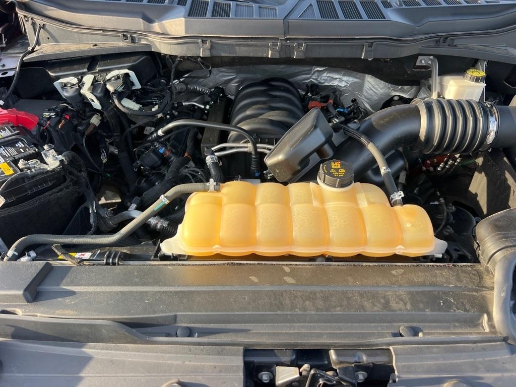 Ford F-150 XLT SuperCrew 5.5-ft. Bed 4WD 2021