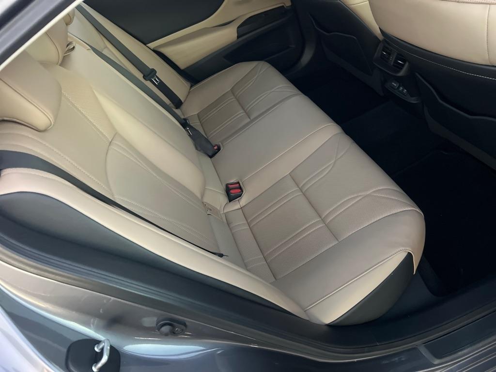 Lexus ES ES 250 Luxury AWD 2021