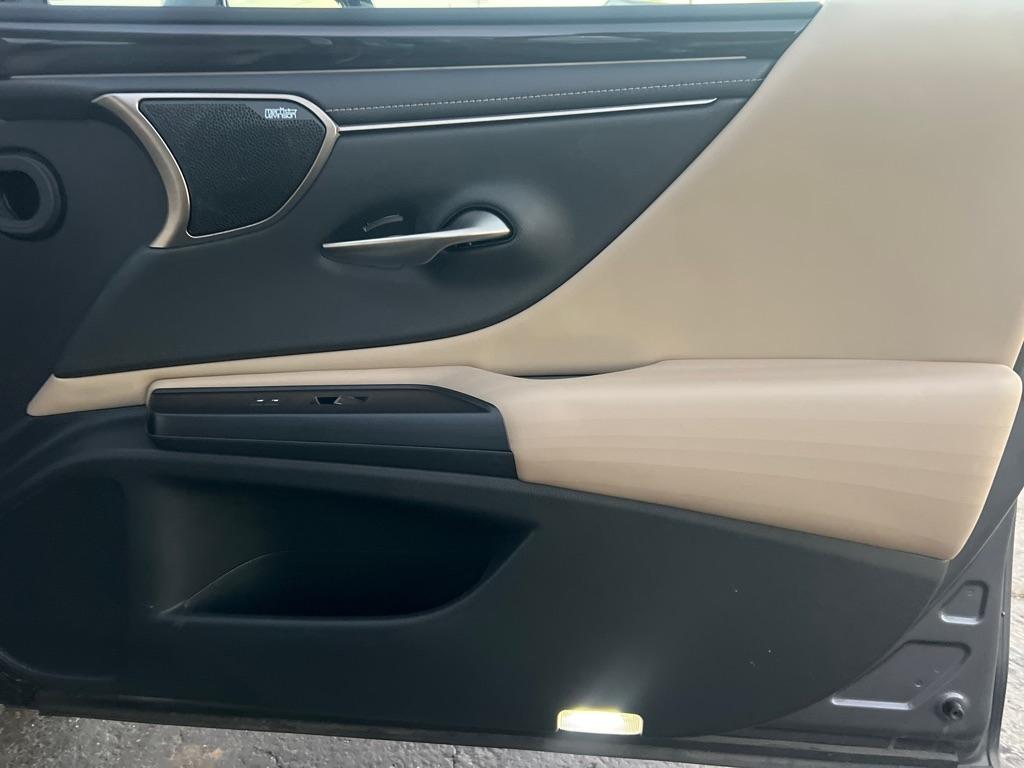 Lexus ES ES 250 Luxury AWD 2021