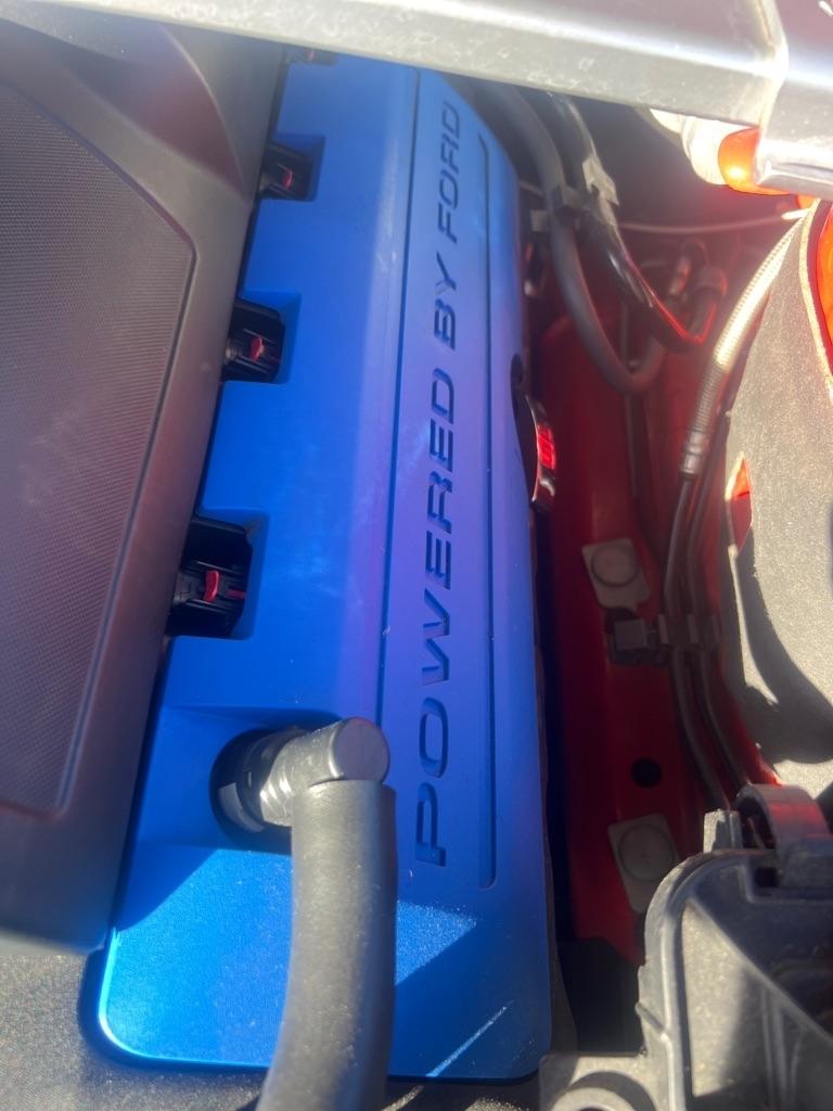 Ford Mustang 2dr Cpe Boss 302 2013
