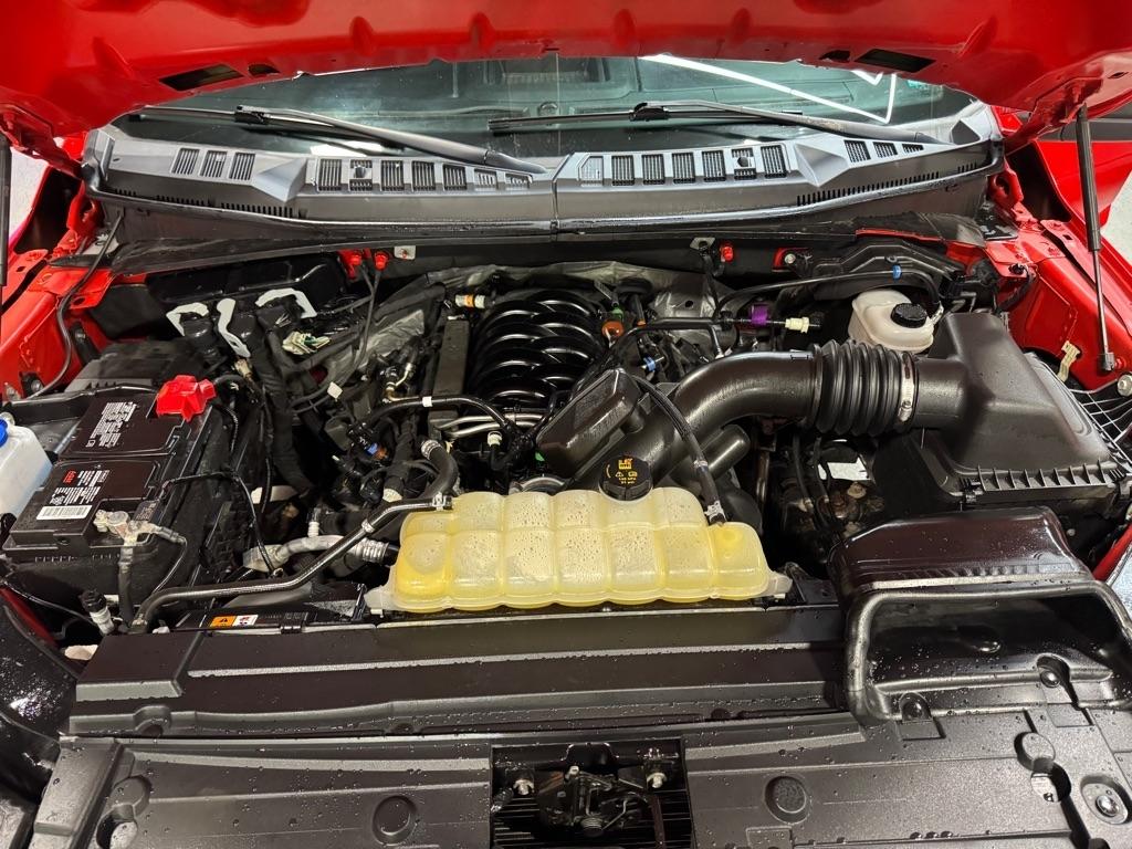 Ford F-150 XL SuperCrew 6.5-ft. Bed 4WD 2020