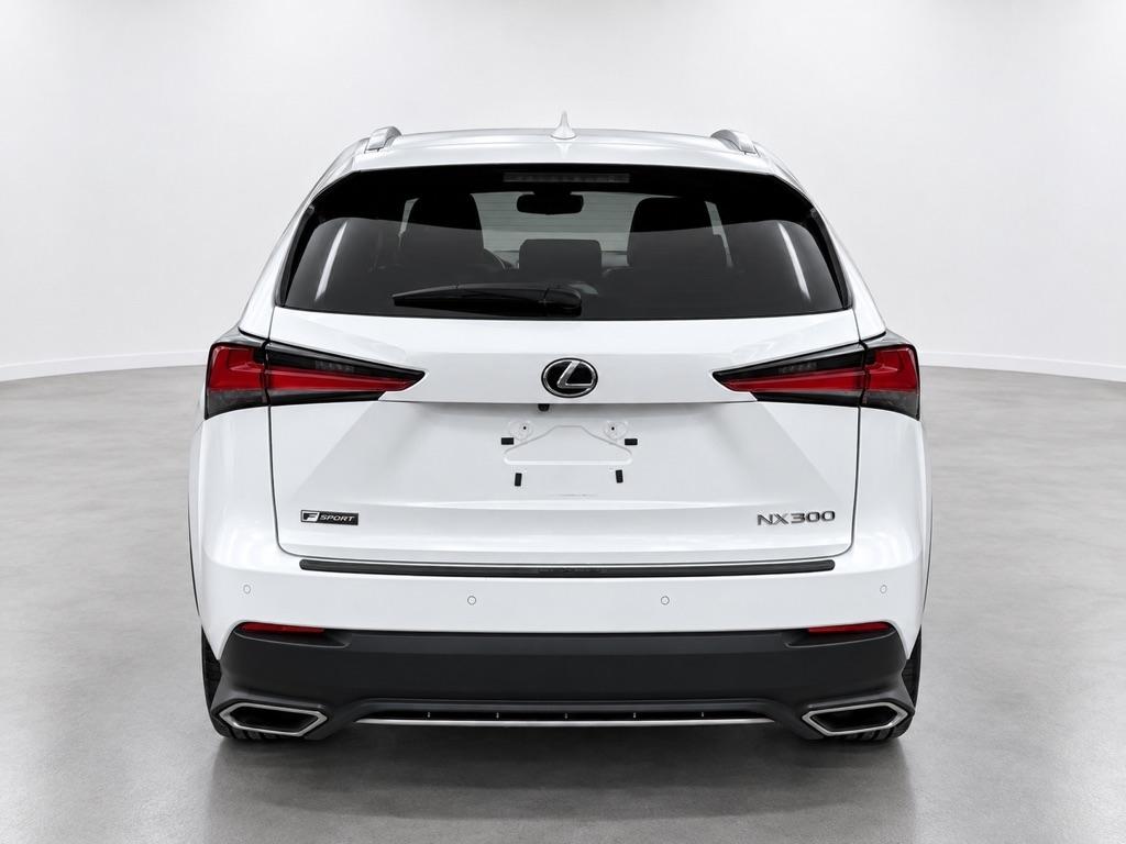Lexus NX 300 F SPORT AWD 2020