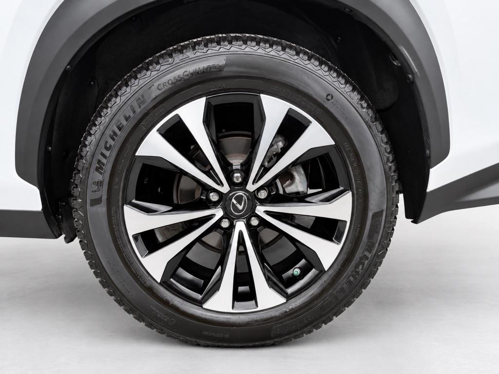 Lexus NX 300 F SPORT AWD 2020