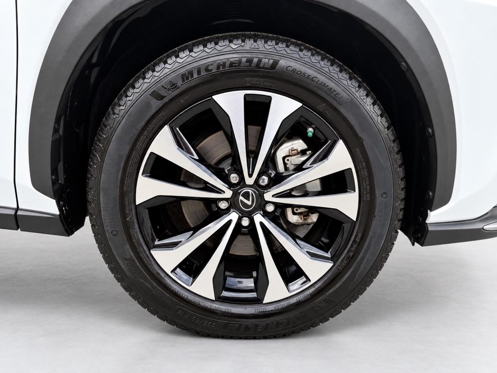 Lexus NX 300 F SPORT AWD 2020