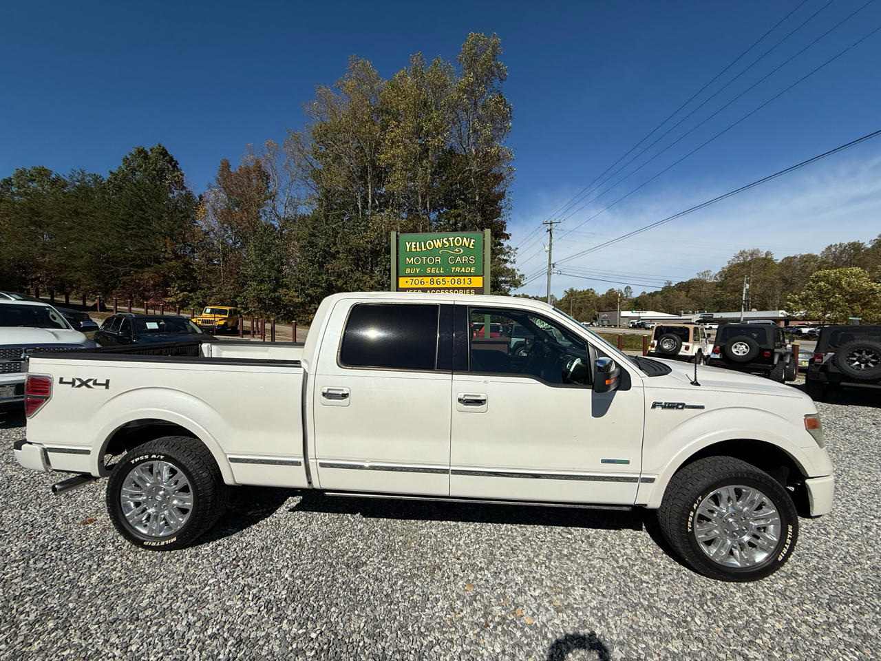 2013 Ford F-150 Platinum