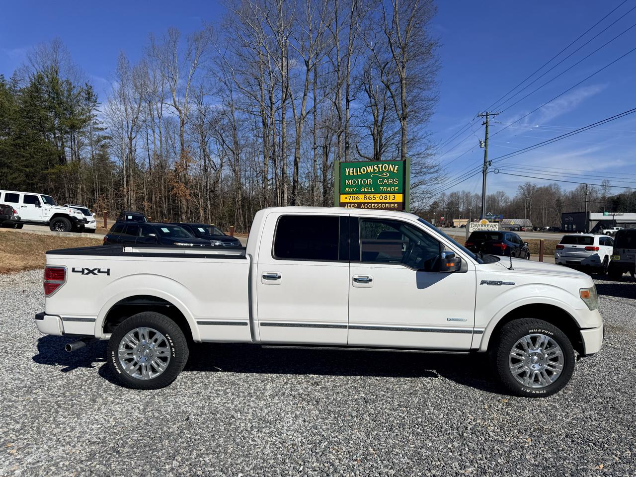 2013 Ford F-150 Platinum SuperCrew LB 4WD