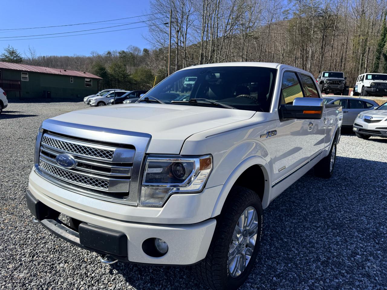 Ford F-150 Platinum SuperCrew 6.5-ft. Bed 4WD 2013
