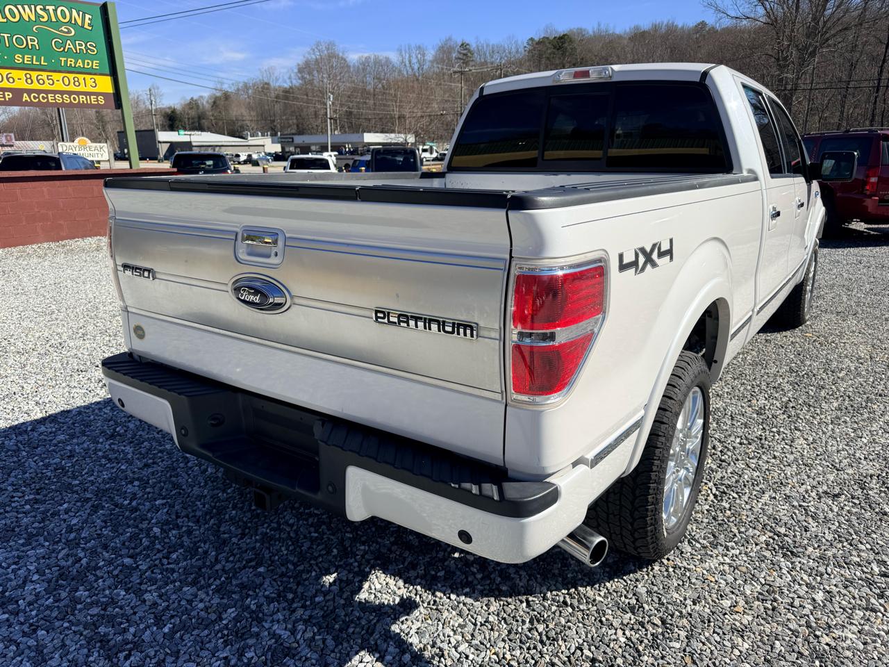 Ford F-150 Platinum SuperCrew 6.5-ft. Bed 4WD 2013
