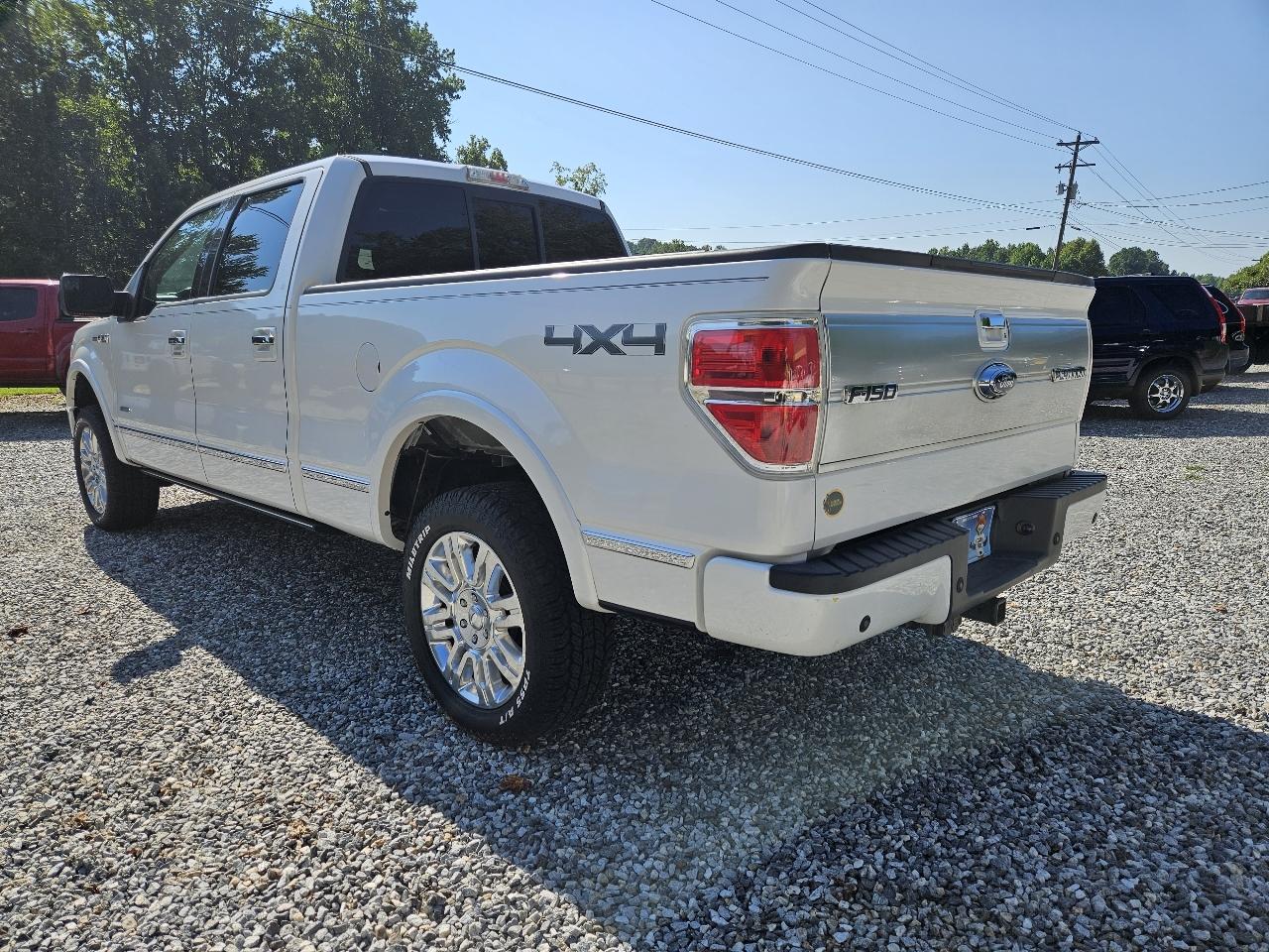 2013 Ford F-150 Platinum - Photo 6