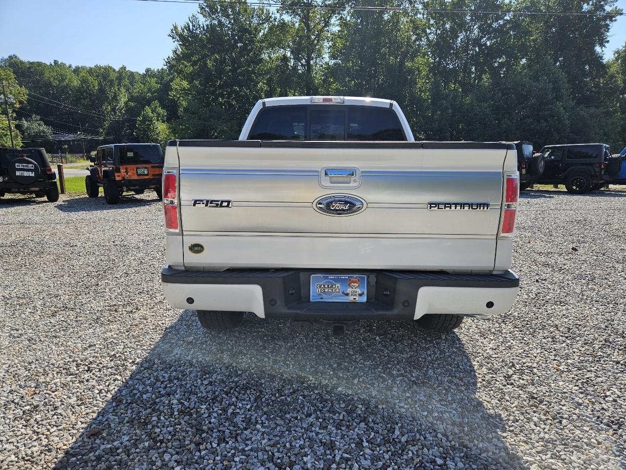 2013 Ford F-150 Platinum - Photo 7