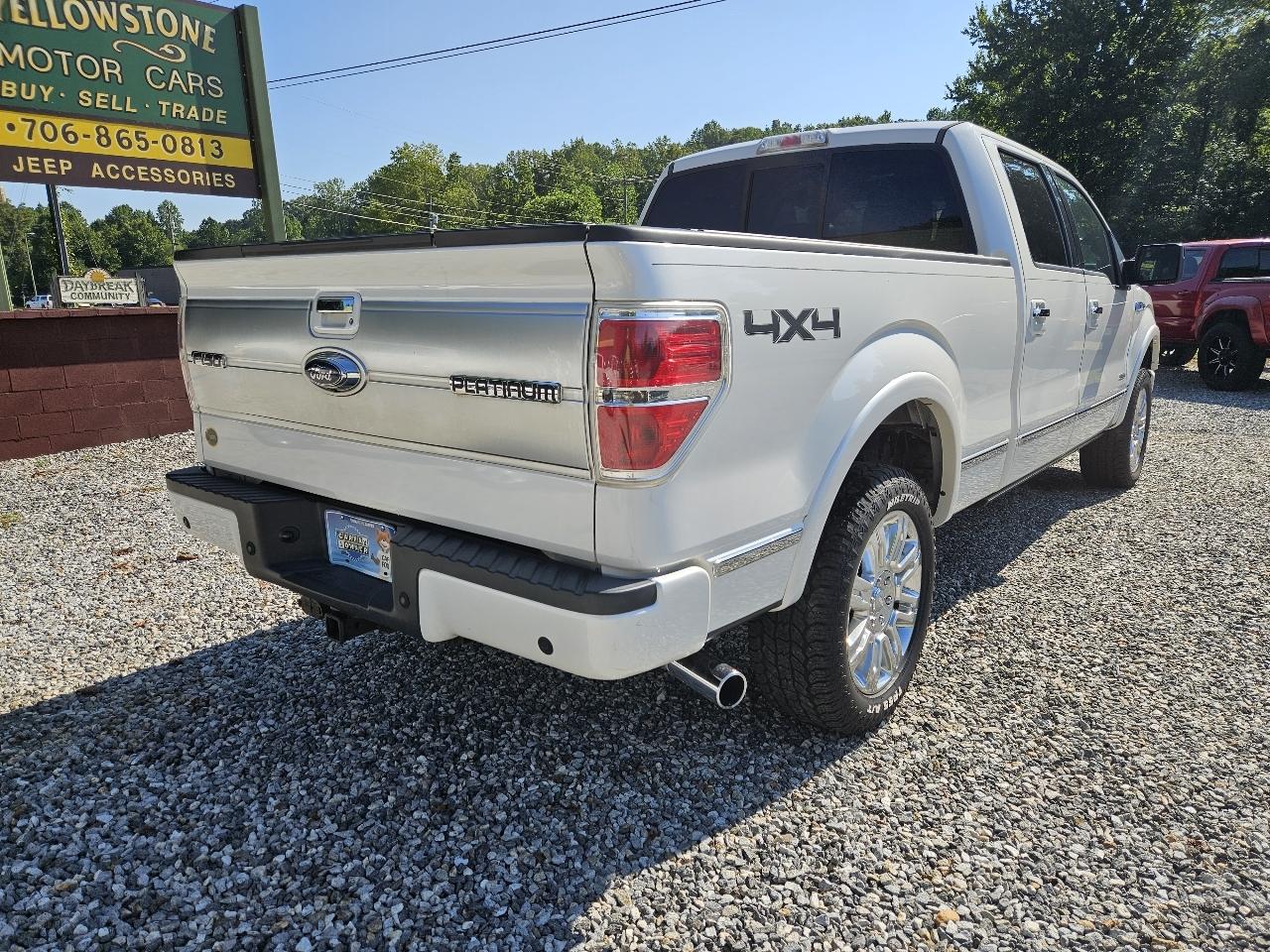 2013 Ford F-150 Platinum - Photo 8