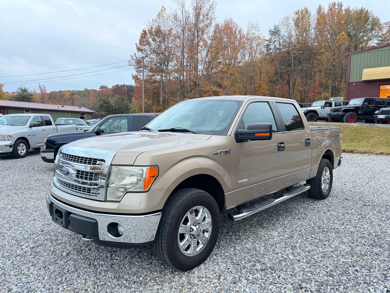 Ford F-150 XLT SuperCrew 6.5-ft. Bed 4WD 2013